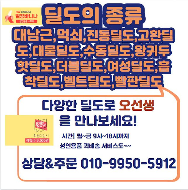 딜도의 종류