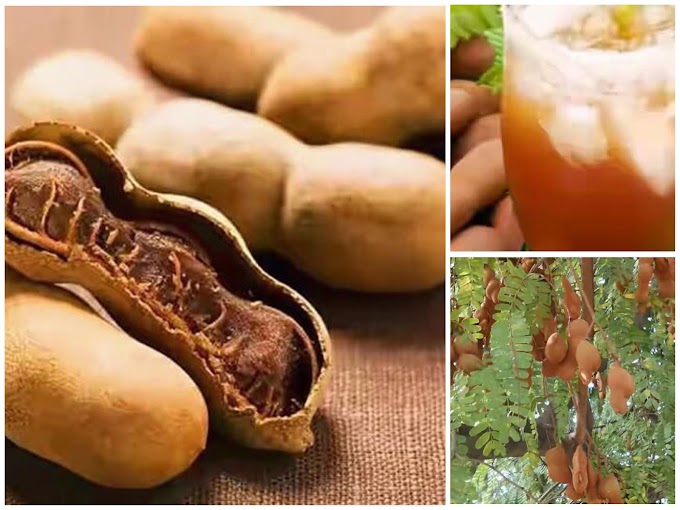 L’importance du tamarrin pour le corps humain.