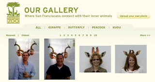 san francisco zoo, blog, pub, jean julien guyot, infopub.blogspot.com, ipub.ca.cx