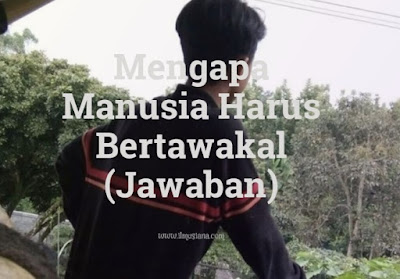  Tahukah kamu mengapa manusia harus bertawakal Jawaban Mengapa Manusia Harus Bertawakal?