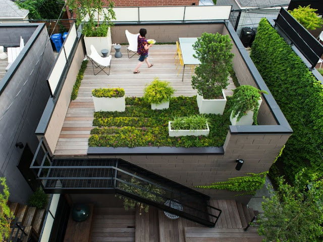 modern house with rooftop garden