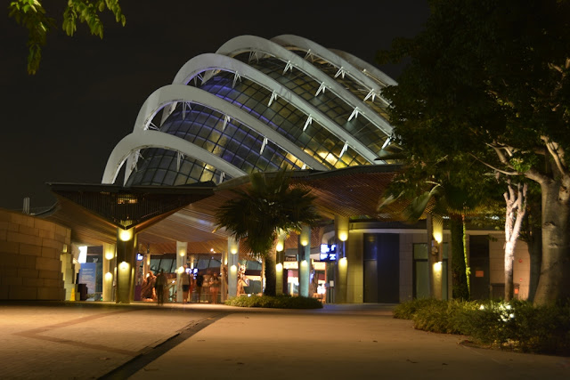 Gardens by the Bay at night dome