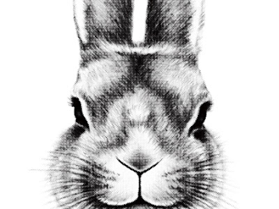 √99以上 描き方 リアル かわいい うさぎ イラスト 313550