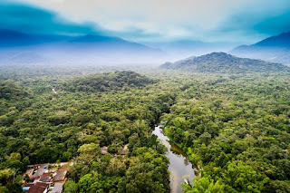 The Amazon Rainforest, South America