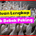 PANDUAN BUDIDAYA TERNAK BEBEK PEKING BAGI PEMULA