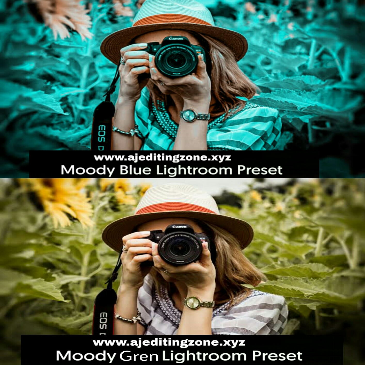 Green Preset Lightroom Moody Green Preset -Download and Enhance Your Photography