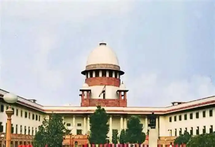 Supreme Court verdict is not a setback; PP Divya says Kannur District Panchayat will file a petition, Kannur, News, Supreme Court Verdict, Petition, Streat Dog, District Panchayat, PP Divya, High Court, Kerala News