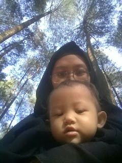 baon pinus forest park