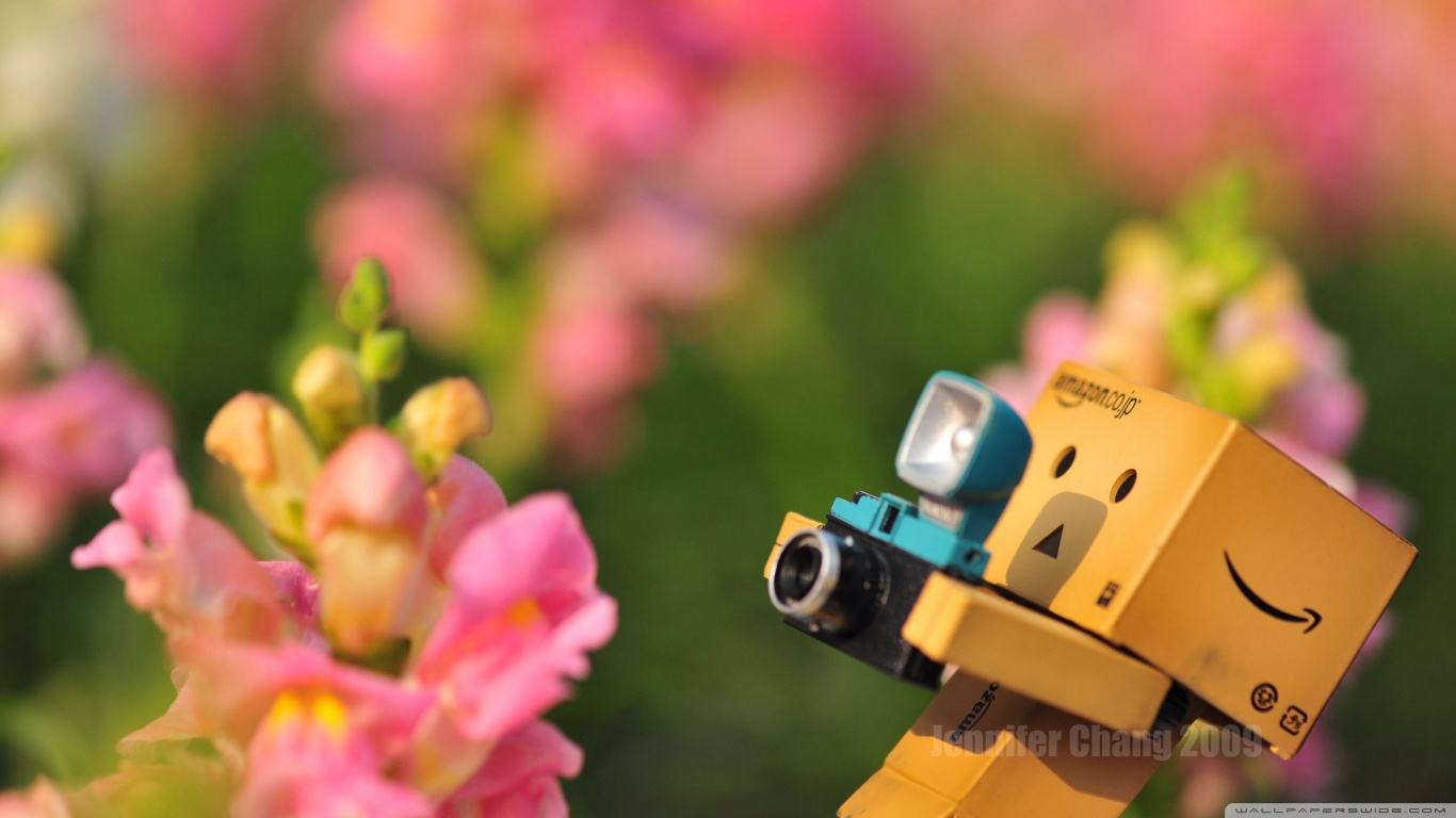 Si Danbo Kardus Wallpaper Foto Danbo Galau Terbaru