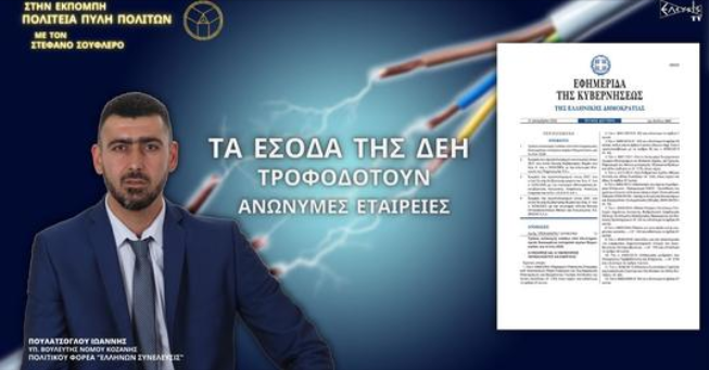 ΤΑ ΕΣΟΔΑ ΤΗΣ ΔΕΗ ΤΡΟΦΟΔΟΤΟΥΝ ΑΝΩΝΥΜΕΣ ΕΤΑΙΡΕΙΕΣ