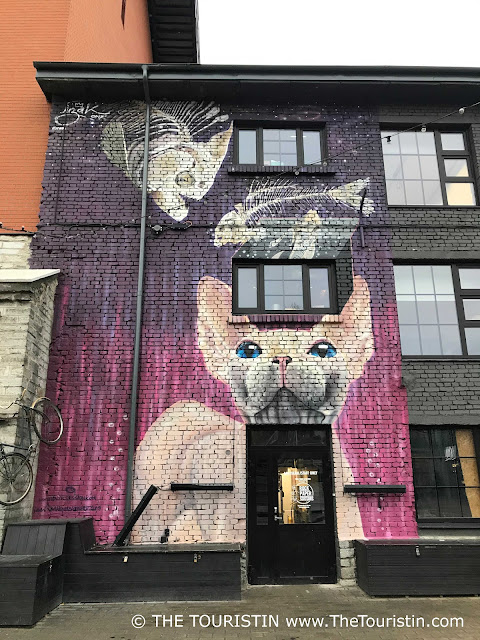 Mural of the artistic interpretation of a Sphynx cat, its bright blue eyes looking up towards fish bones, with a purple-washed brick facade as background.