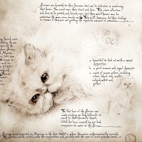 14-Persian-Study-Leonardo-s-Dogs-Cats-and-Dogs-Drawn-in-the-style-of-Leonardo-da-Vinci