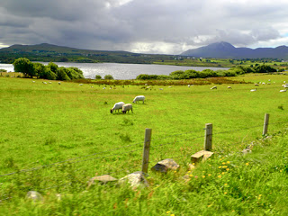 Beautiful Irish Countryside Ireland