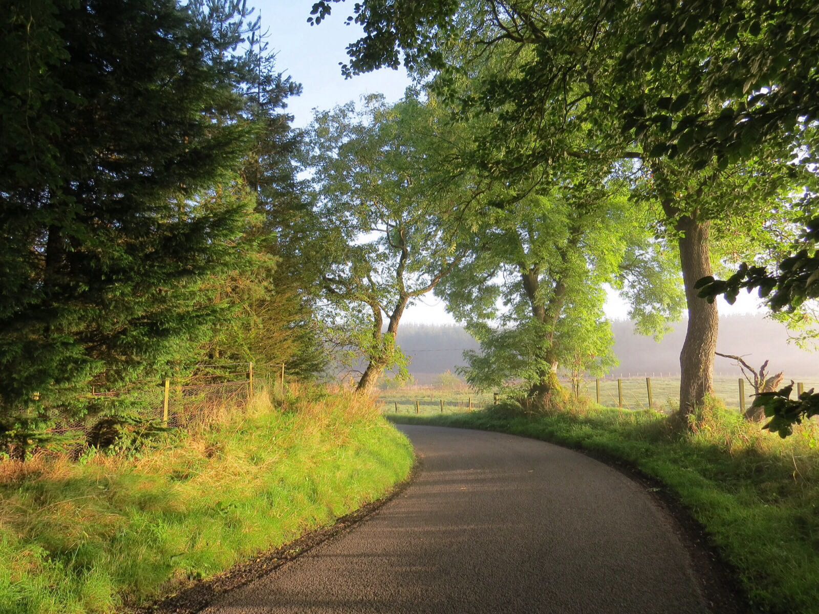 BloggerImage