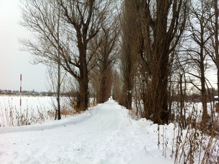 Img_6053