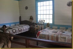 IMG_4999 IMG_4999