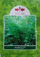 manfaat daun seledri, amigo, benih panah merah, khasiat daun seledri, jus seledri, jual benih seledri, toko pertanian, toko online, lmga agro