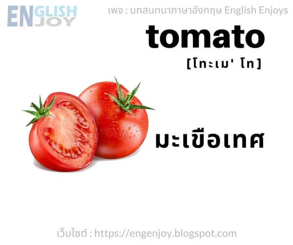 คําศัพท์ภาษาอังกฤษ ผัก - Tomato (มะเขือเทศ)_Vegetables
