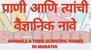 प्राणी आणि त्यांची वैज्ञानिक नावे,Animal and their Scientific Names in Marathi,प्राणी आणि त्यांची शास्त्रीय नावे,Animal and their Scientific Names