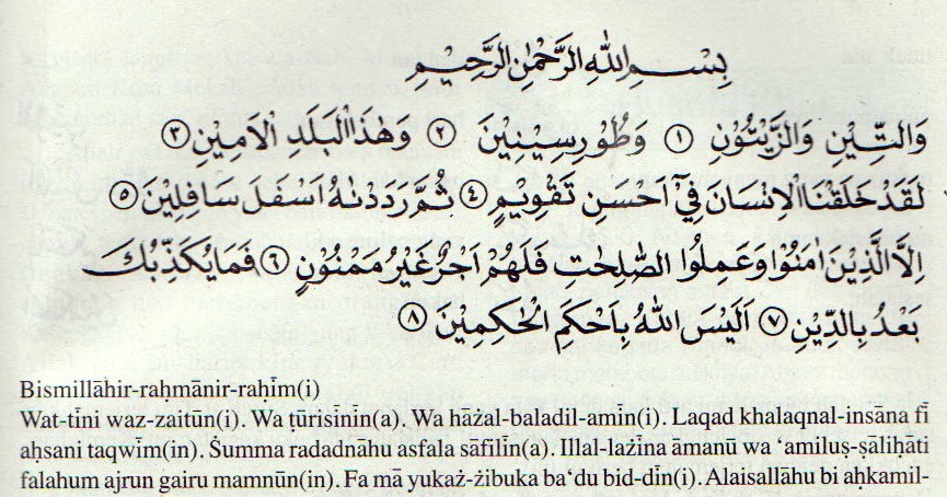  Surat  At Tin  Beserta Artinya Contoh Seputar Surat 