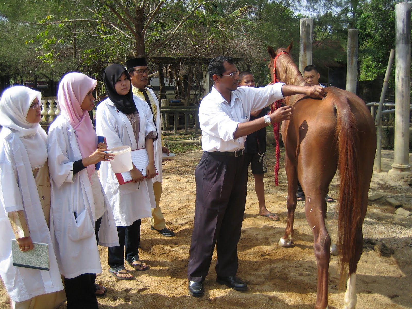 Sihat Bersama Homeopati & Perubatan Alternatif: February 2009