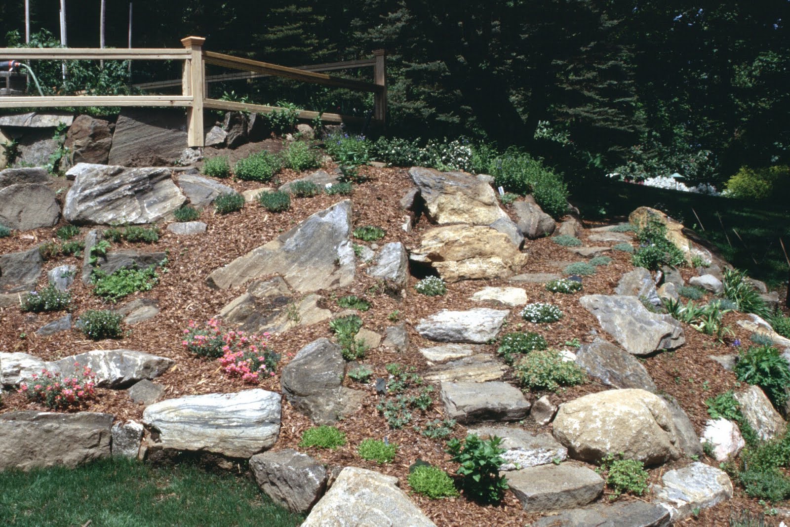 the existing rock garden