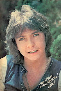 Men's Fashion Haircut Styles With Image David Cassidy Hairstyles With Classic Men's Shag Haircuts Picture 2