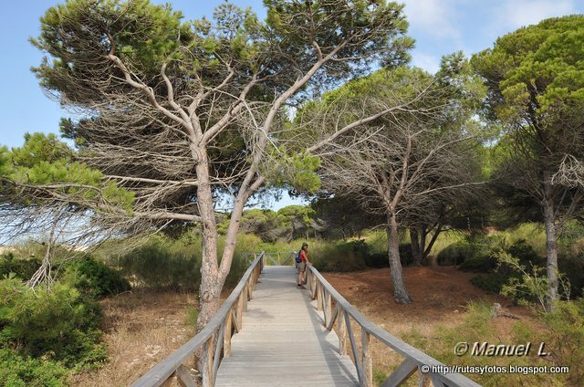 Duna de bolonia - Punta Camarinal - Cabo de Gracia