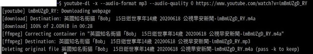 youtube-dl 將影片轉為 mp3