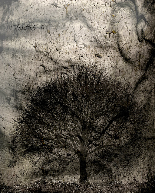 magischer Baum, photoartt, art, Kunst, Fotokunst, abstractart, abstract, digitalart, Dorothe Domke, Sauerland