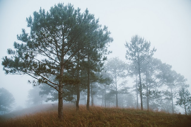 What to do when Da Lat travel during rainy days? 1