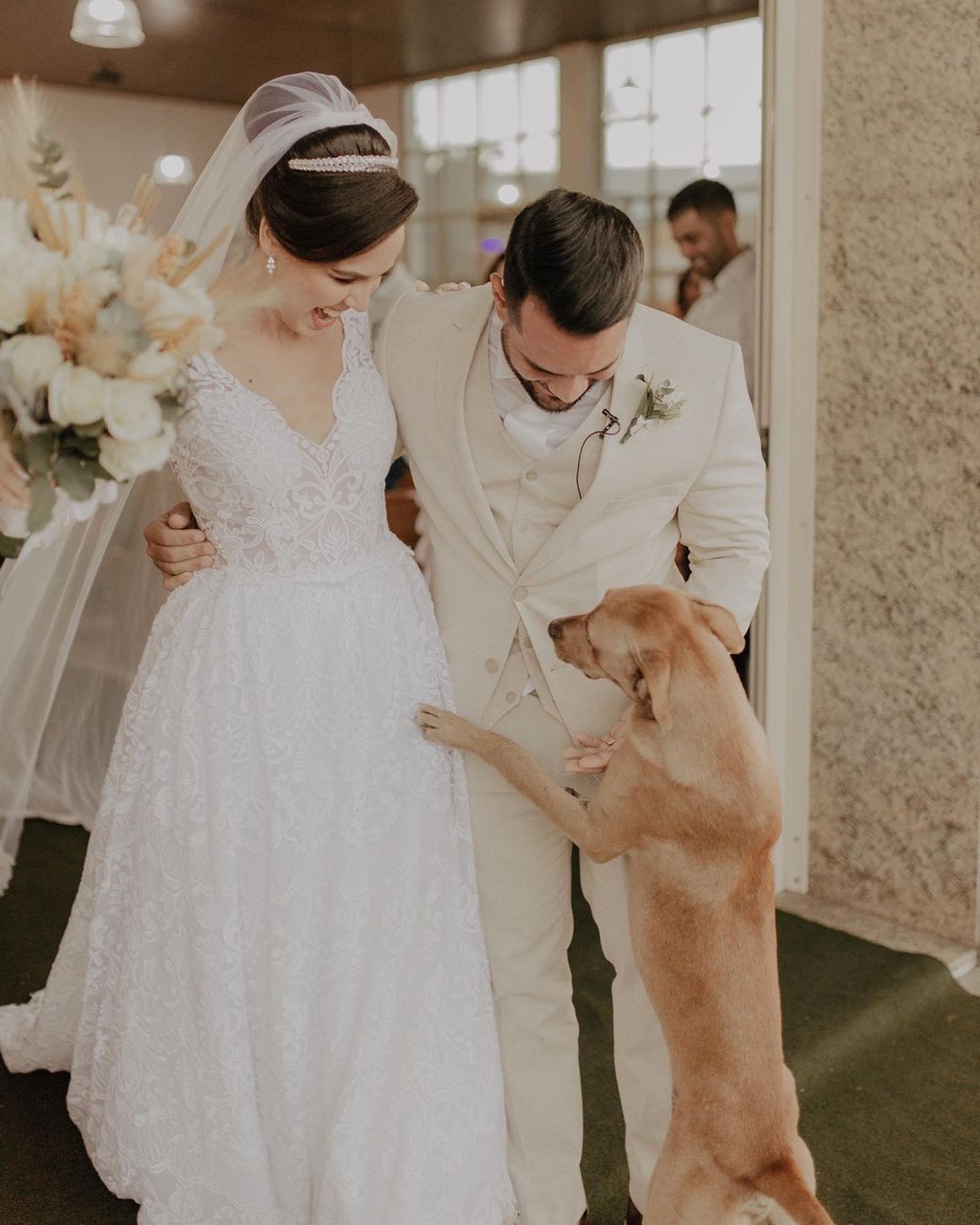 Stray Dog greeting newlyweds