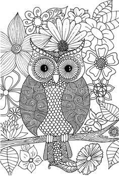 Top 10 Free Printable Owl Coloring Pages