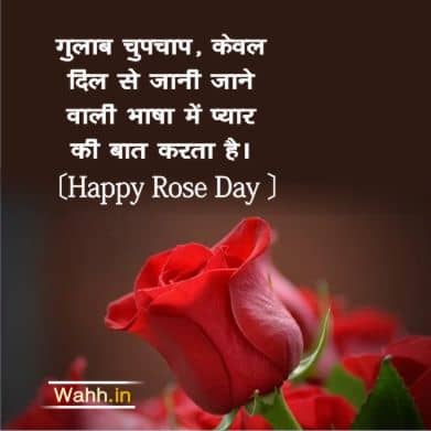 Rose Day Quotes for Wife In Hindi