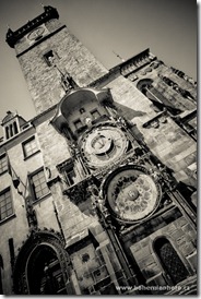 IMG_6717 IMG_6717