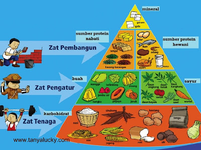 Piramida Makanan Sehat