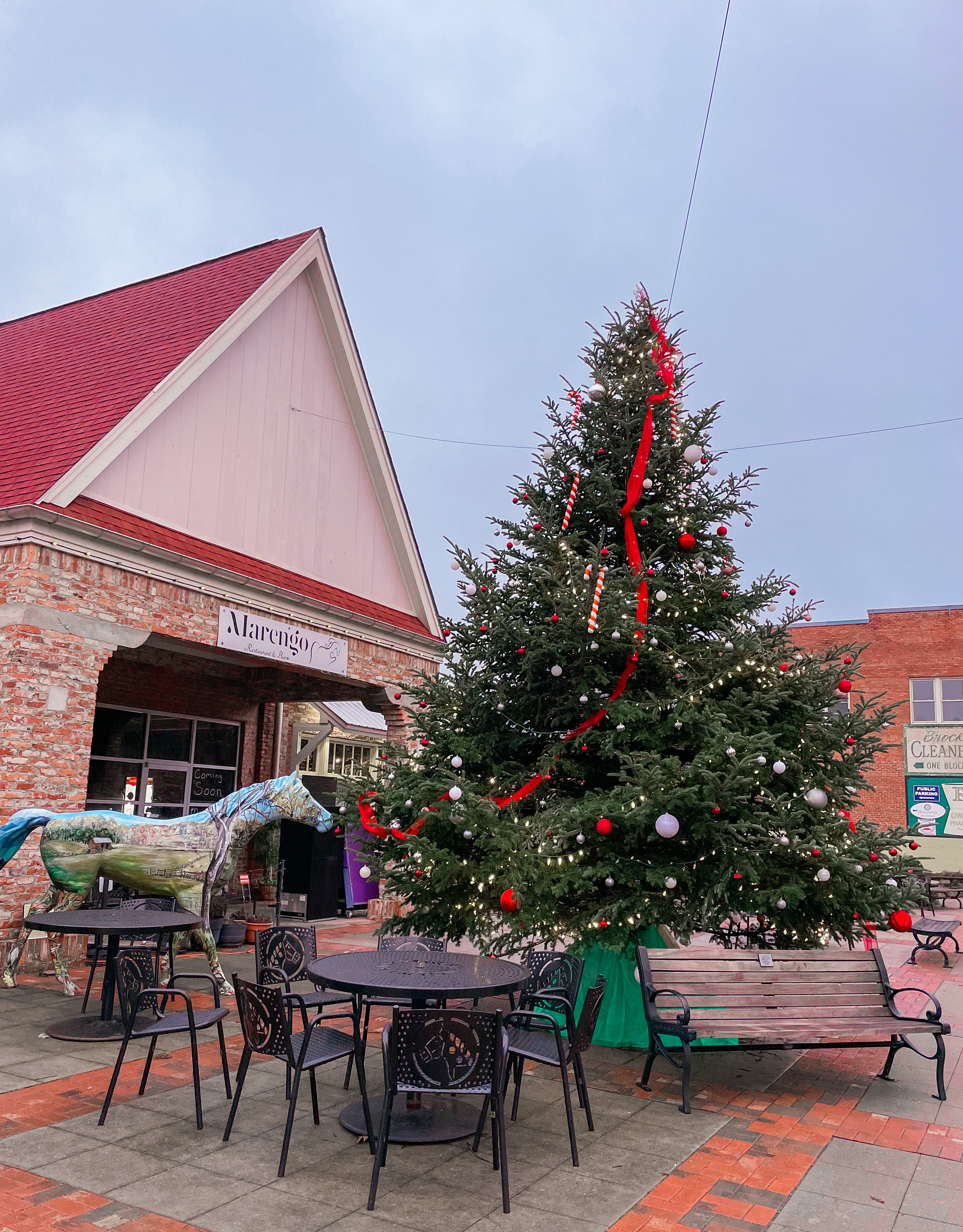 Downtown Tryon Christmas Tree, NC