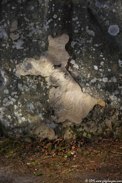 Drôle de bête, Bas Cuvier, fontainebleau, (C) 2015 Greg Clouzeau