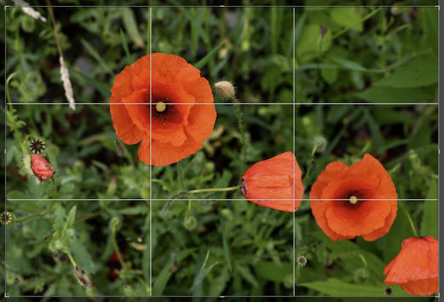 reguła trójpodziału w sztuce a w tym w fotografii