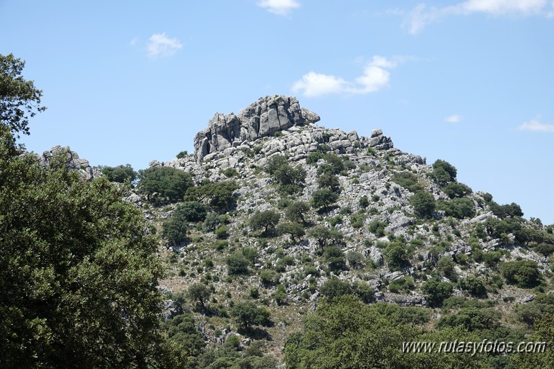 Los Lajares - Cerro de la Gordilla - Cerro del Dragón - Fortaleza de la Breña