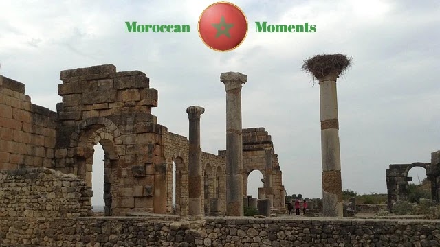 Volubilis - Exploring the History and Beauty of Morocco's Ancient Roman City