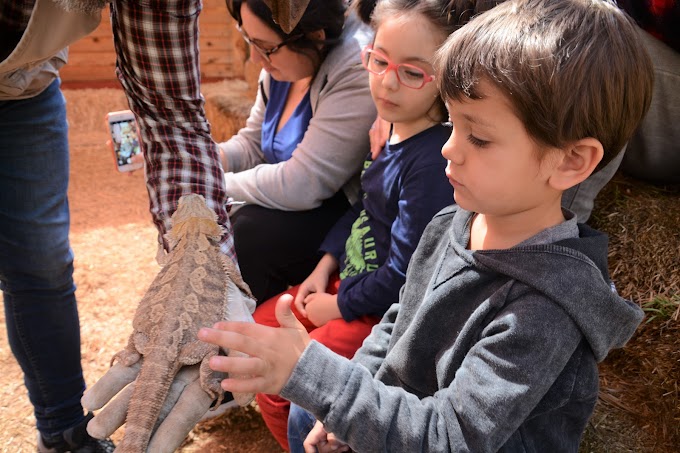 Barcelona con Niños: Granja Aventura Park