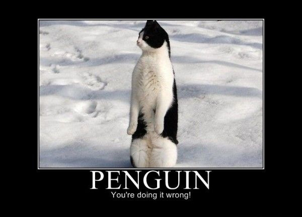 Penguin - You're Doing It Wrong