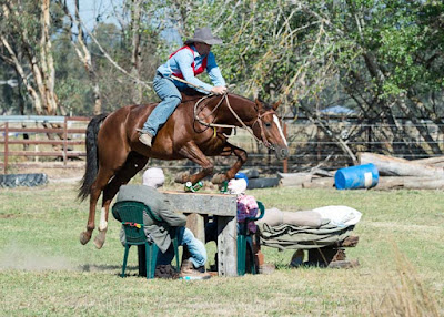 www.horsephotographics.com.au