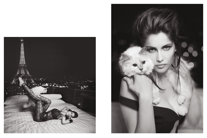 V Magazine #79 Editorial - Laetitia Casta & Choupette by Karl Lagerfeld 