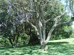 FALE CONOSCO