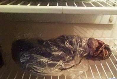 mayat alien dalam lemari es