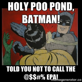 NTCC's Demonic Duo, BatBrains and Robbin' 'Em Blind Cancel Conference and Duke It Out Over WHO Called the EPA???  New Testament Christian Churches of America, Inc. No Fall Conference 2013?