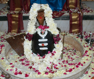 Lord Shiva Linga Worship