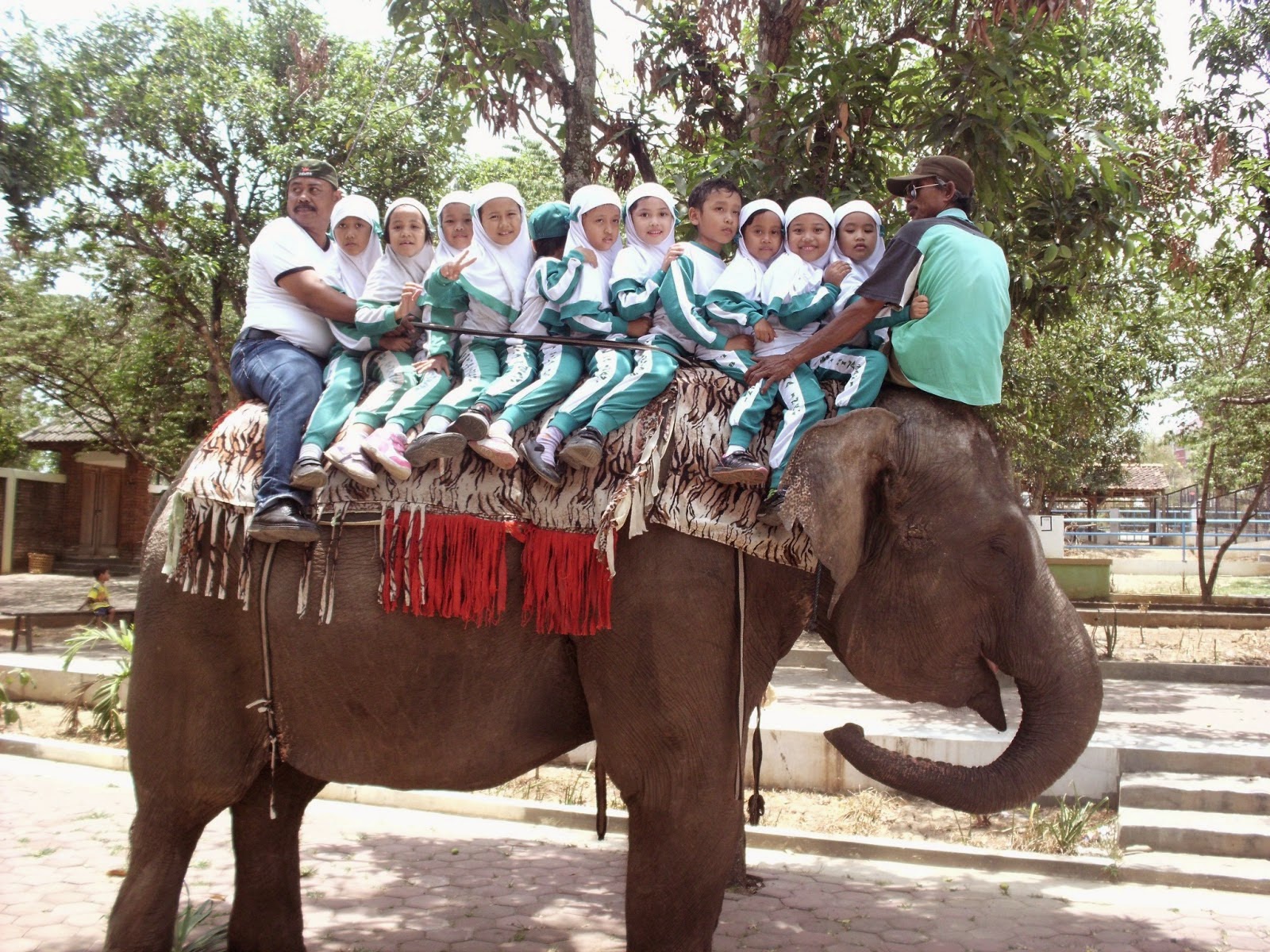 Kebun Binatang Tinjomoyo, +62-821-316-7070-8, Travel ...